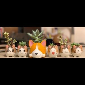 Meet your Posher, Elena